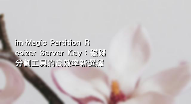 im-Magic Partition Resizer Server Key：磁碟分割工具的高效率新選擇