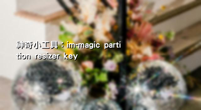 神奇小工具：im-magic partition resizer key